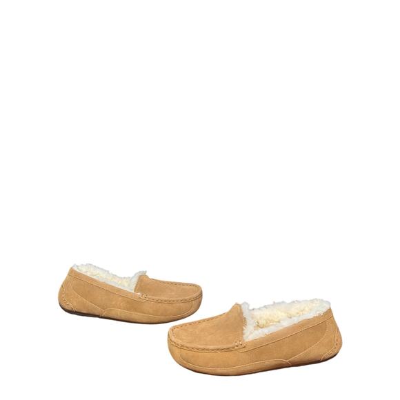 Ugg ascot suede slipper in excellent condition size 6 men's - Picture 1 of 7